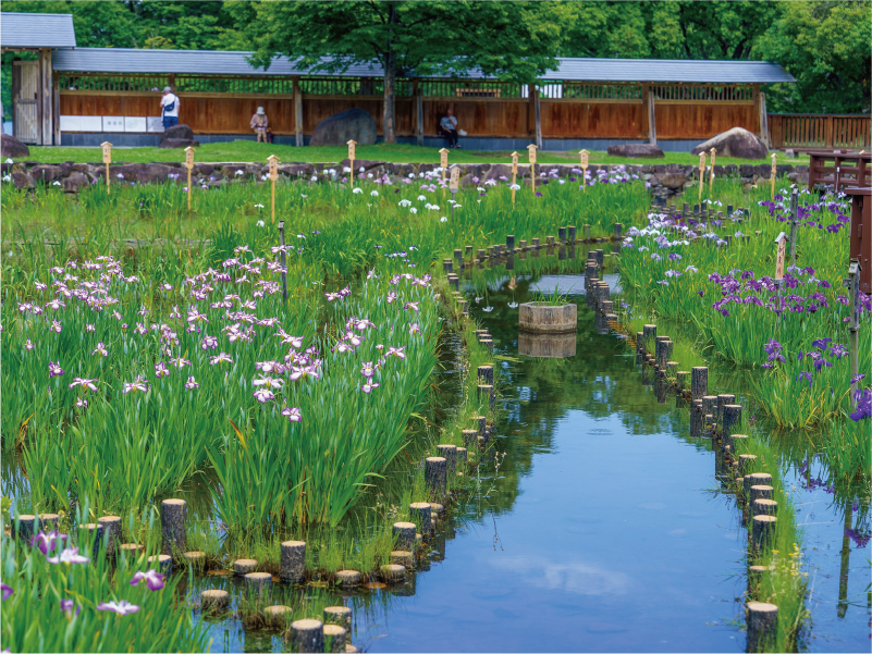 「クローバータウン」