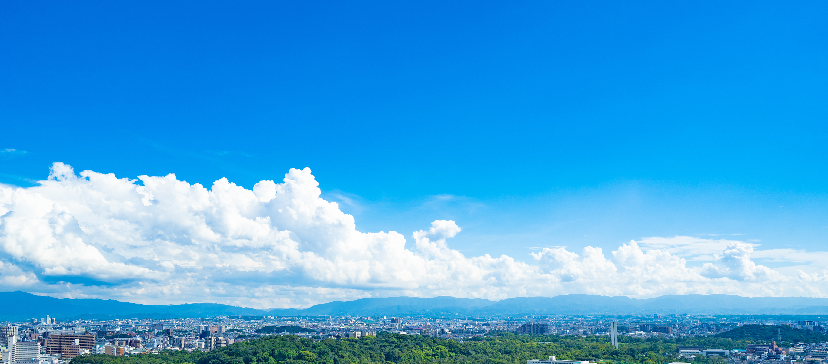 Clover Town 抜群の利便性と子育て環境 限定3区画の希少立地 ずっと住み続けたくなる自慢の住まいがここに。