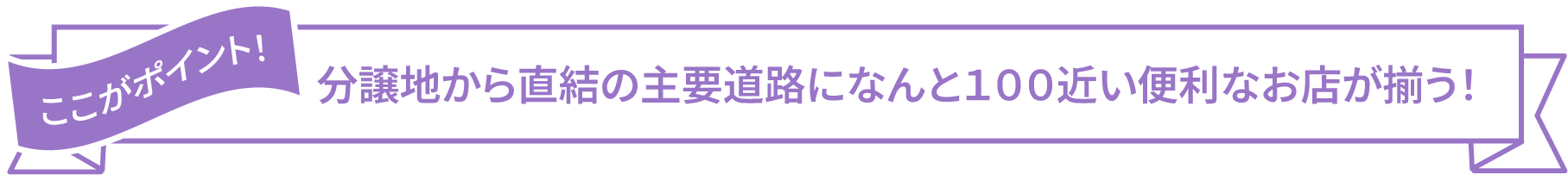 ここがポイント！ 分譲地から直結の主要道路になんと100近い便利なお店が揃う！