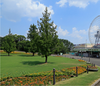 万博記念公園