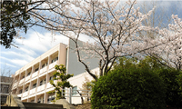 High School 7