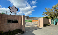 Primary School